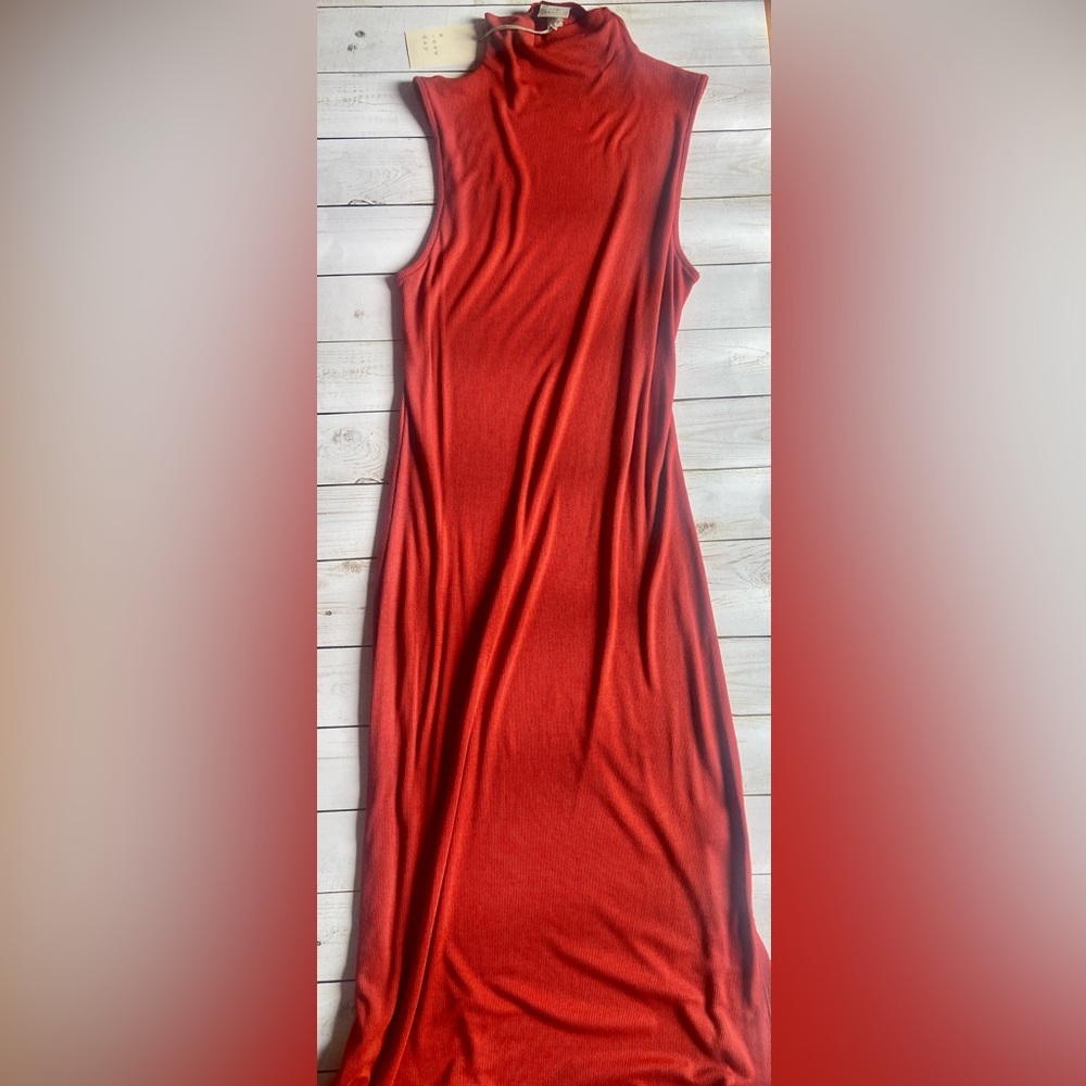 A new day burnt red dress